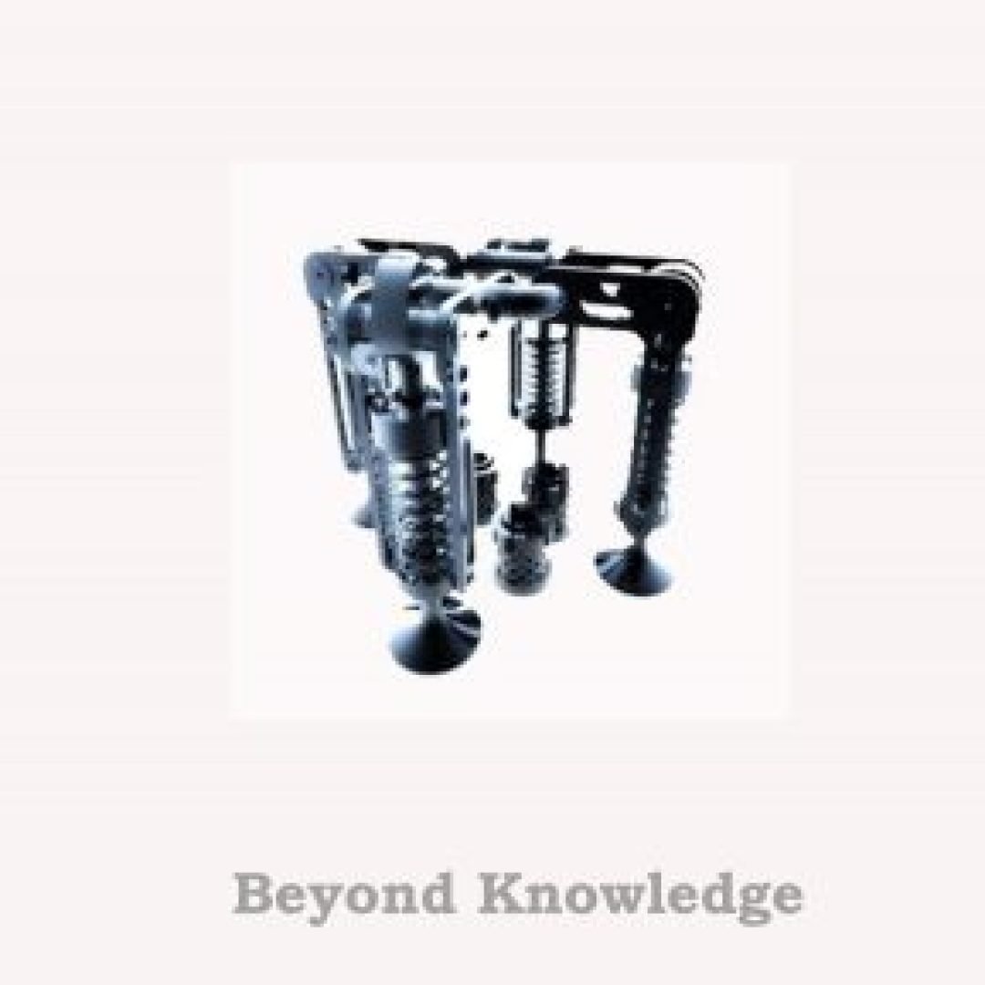 Beyond-Knowledge-1-300x289